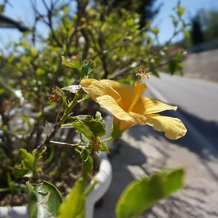 Kefalonia Sea View דירה *