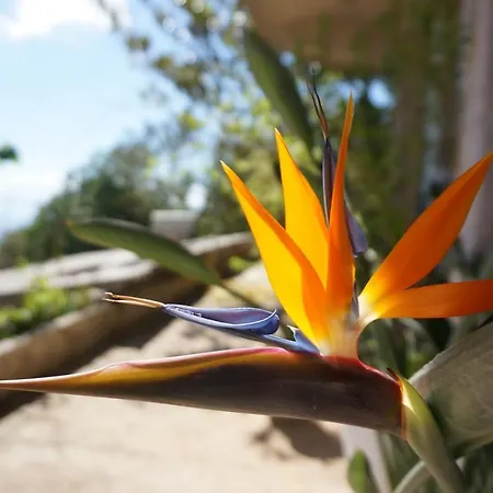 דירה Kefalonia Sea View